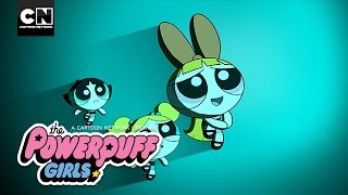 Powerpuff Girls | Halt And Catch Silico | Cartoon Network