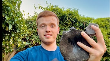 Huge Vertebra Fossil! Plus Smaller Perfect Ichthyosaur Vertebra
