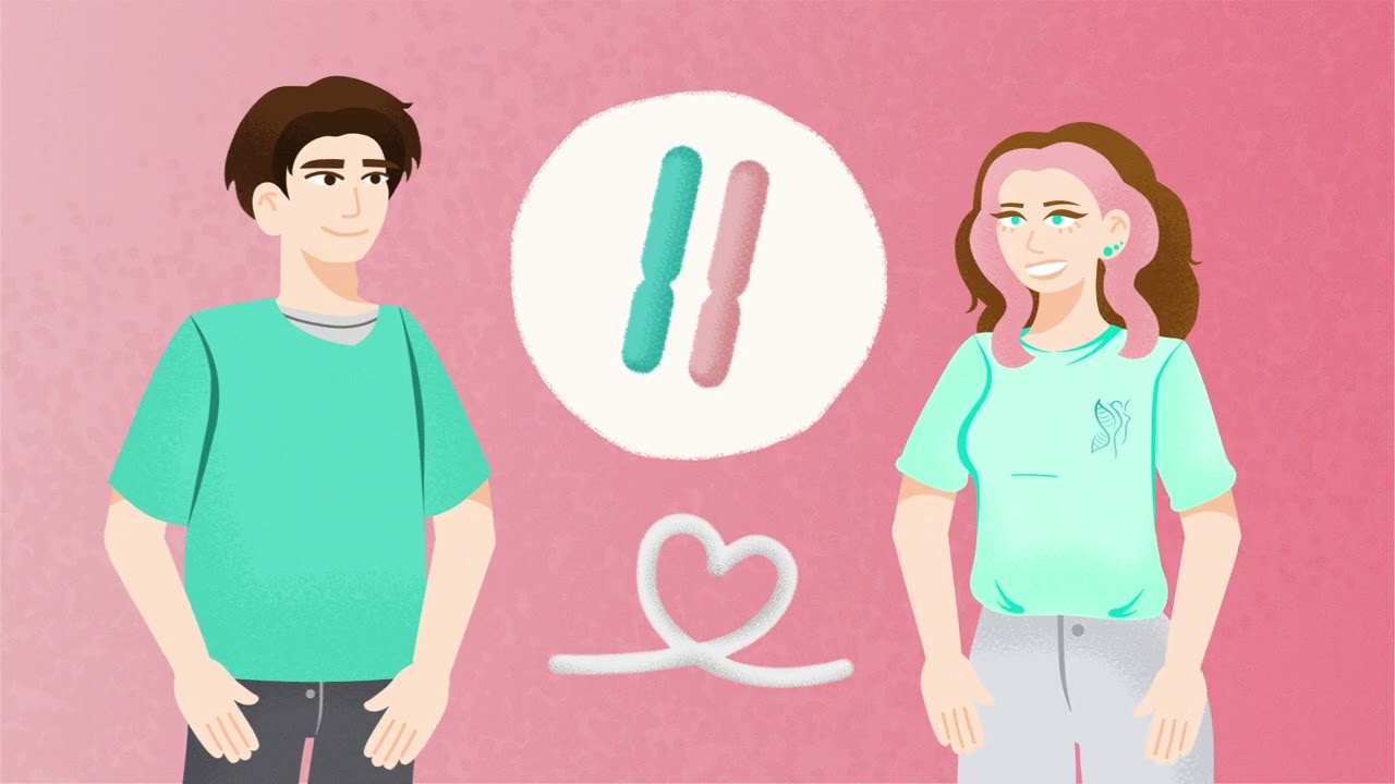 ADN, Cromozomi și Gene – Explicație pe înțelesul tuturor | Asociația Gabrielle & Her Genes