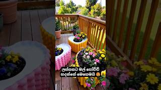මේ වගේ මල්පෝච්චි හදන හැටි දැකලා තියෙනවාද #pattasindu #travel #xcavator #love #nature #kalpetta