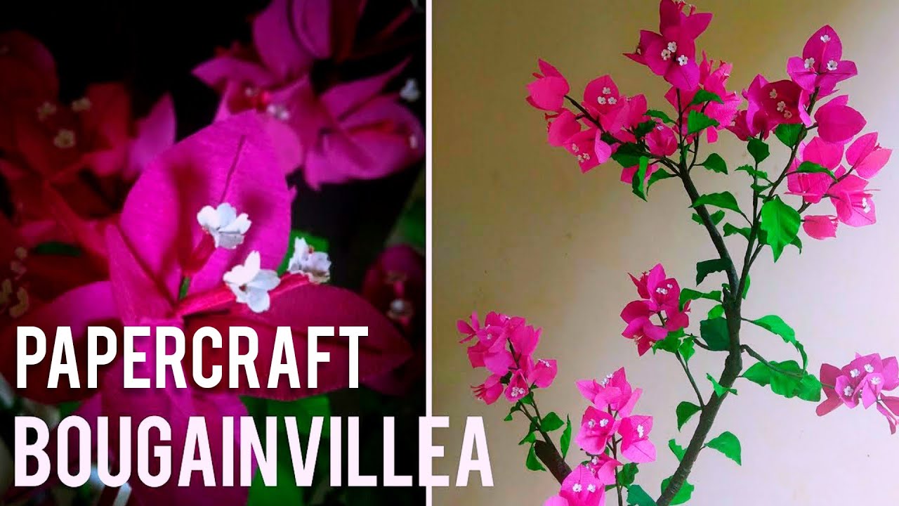Craft How To Make a Bougainvillea plant using crepe paper YouTube