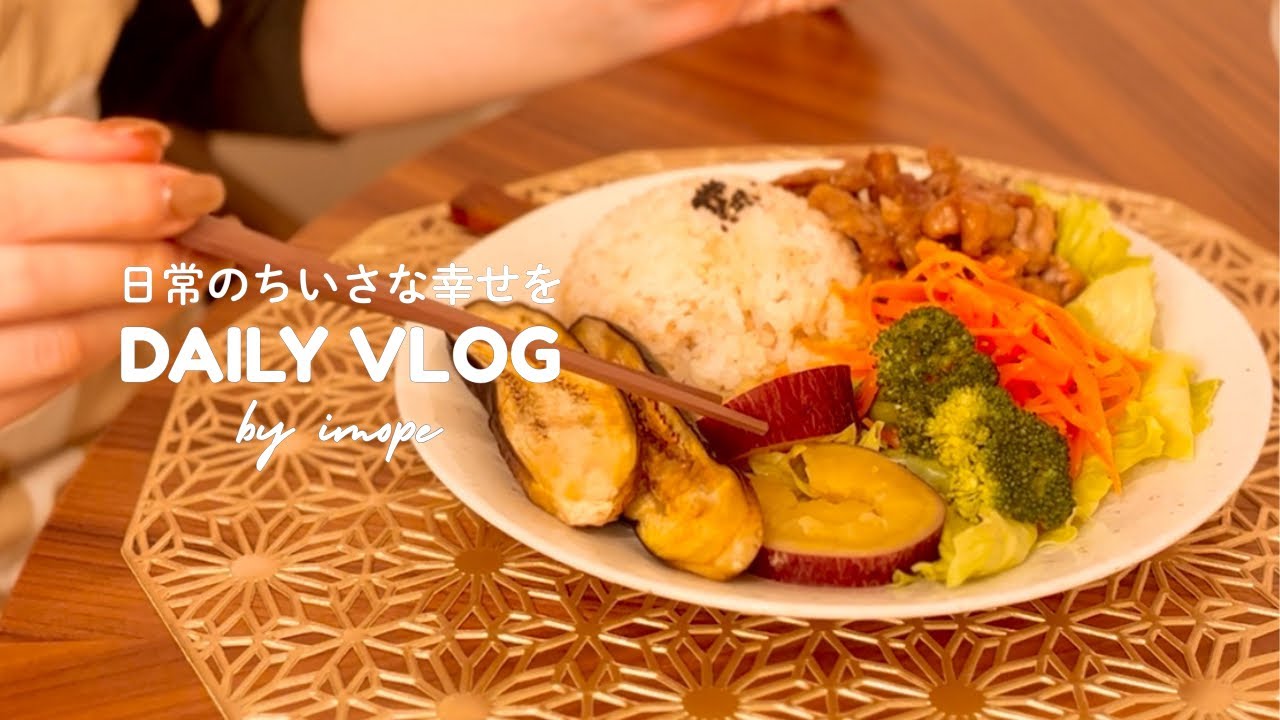 【vlog】夜のワンプレートごはん🌕｜レンジで時短🌷｜平日の食事・レシピ・簡単・作り置き・料理を楽しむ・節約・おうちカフェ・おうち時間