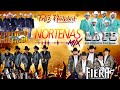 Grupo Legítimo &amp; La Fiera de Ojinaga &amp; Los Avila &amp; La Fe Norteña - Norteñas Mix 2023-30 Exitos