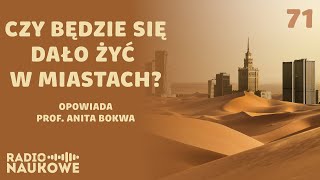 Czym są miejskie wyspy ciepła? O mikroklimatach miast | prof. Anita Bokwa