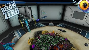 SNEAK PEEK | CREATURE EGGS | Subnautica: Below Zero (experimental)Exploring Build 22561