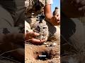 A Baby Owl’s Secret Underground World — Real Bodycam Footage Inside the Burrow Colony”