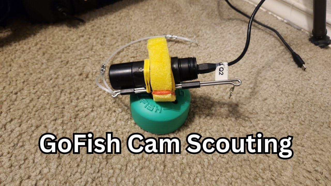 Let's Talk Fishing - GoFish Cam Scouting #fishing #livestream # ...