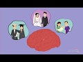 Understanding Memory Storage and Retrieval