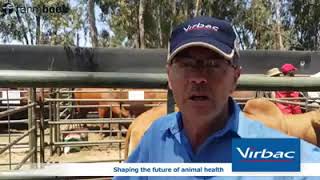 Interview With Janneman Van Aardt Of Virbac Who Speaks About General Animal Health.