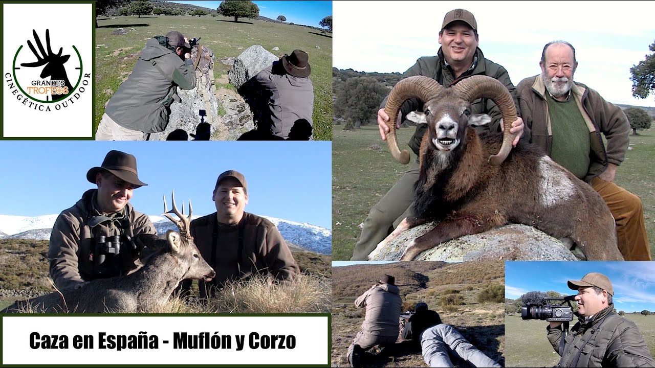 Caza de Corzo y Borrego Muflón en España para Grandes Trofeos del 22 de Agosto