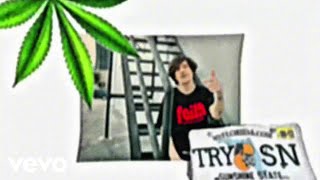 trysn - Been On