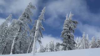 Mt. Rose Summit  Jan 13, Nevada, the U.S.
