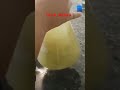 CLED AGAR preparation || Microbiology || MICROBIOLOGIST || Introduction to Microbiology