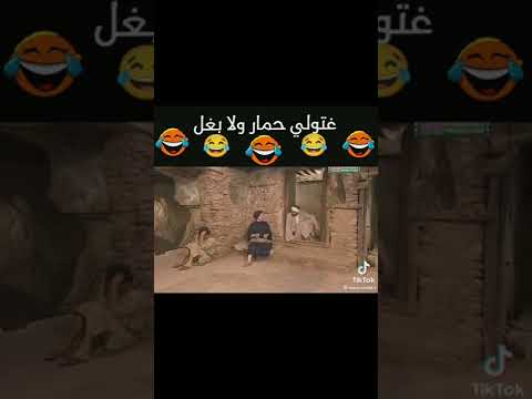 غتولي حمار ولا بغل