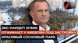 Экс-нардеп Зубик отжимает у киевлян под застройку красивый сосновый