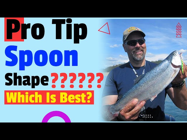 The Best Spoons for Trout Fishing - On The Water