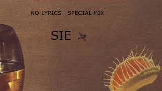 Einsturzende Neubauten - &quot;SIE&quot; No lyrics special MIX