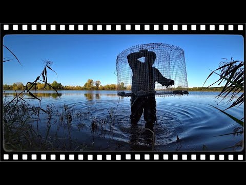 Video: Jak Zdobit Plněné Ryby