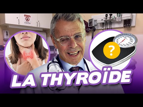 Vidéo: Régimes Crus Et Hyperthyroïdie Chez Les Chiens