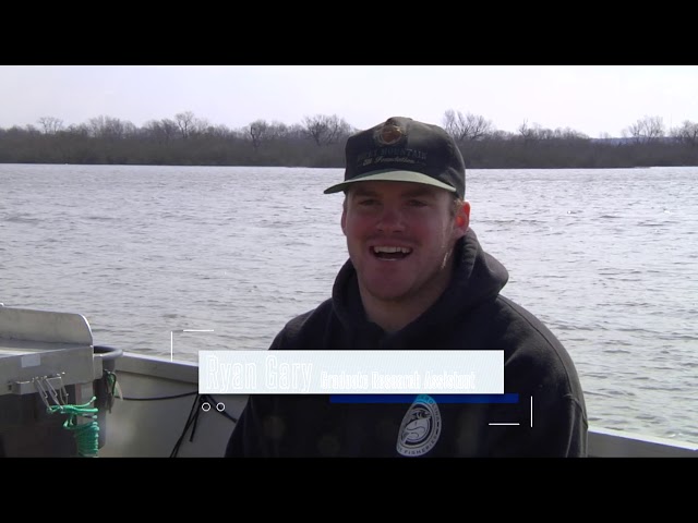 Watch Paddlefish Restoration on YouTube.