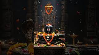 har har Mahadev ♥️💞🙏🌹#Ankit patel vlog