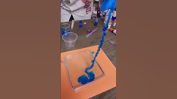 Science Kits That Inspire Learning & Wonder