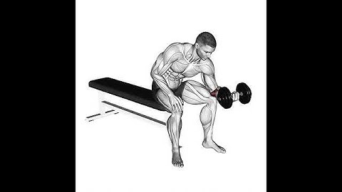 flexao de punho com halteres