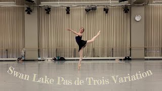 Swan Lake Pas De Trois Variation