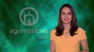 TITULARES AGRONOTICIAS sie7e PROGRAMA 157
