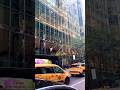 New York City Turtlebay Manhattan 2025 New York City Turtlebay Manhattan 2025
