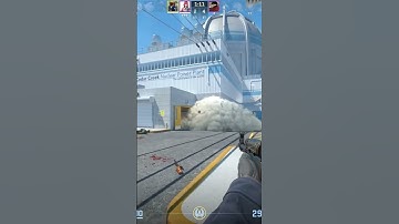 They were clueless #csgo #cs2 #csgoclips #cs2clips #counterstrike #counterstrike2 #csgo2 #cs #cs2fun