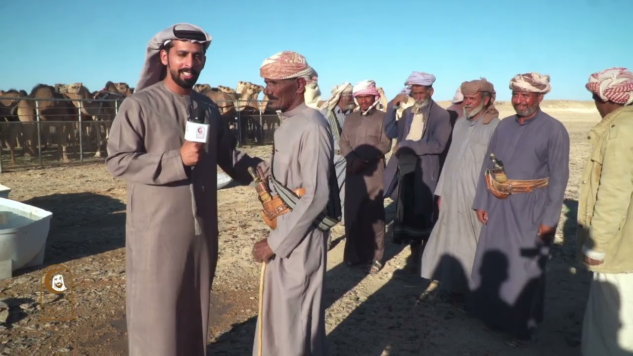 شاهد توافد الكثير من ملاك الحلال وانطباعاتهم حول مشاركتهم في النسخة الثالثة من مهرجان زايد للتراث