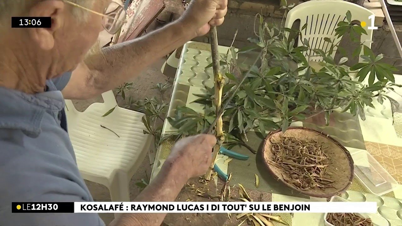 Kosalafé Raymond Lucas binjoin :