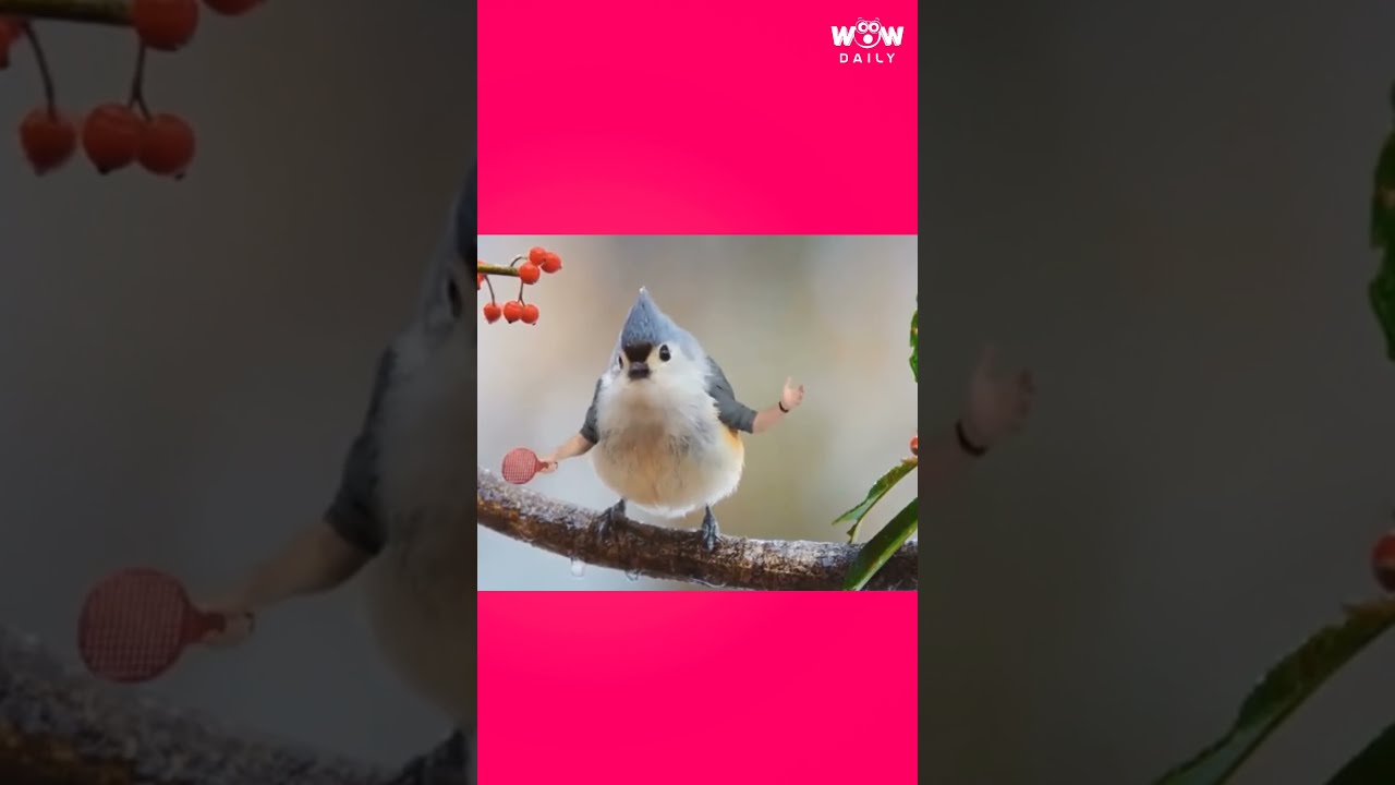 Birds with Arms 🐦💪|| Wow Daily 