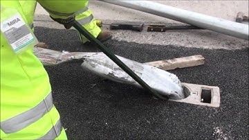 RS168 100Kph Impact Test on Steel Lighting Column