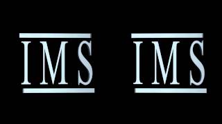 IMS 3D Logo