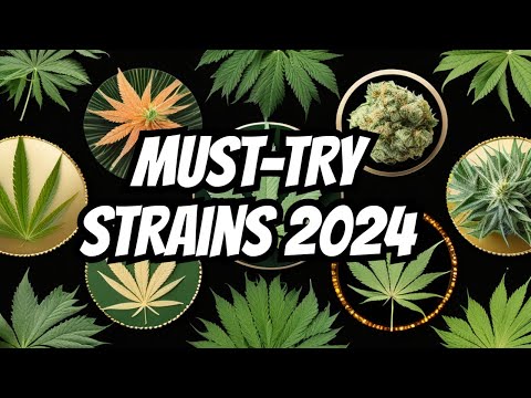 Top 10 Cannabis Strains To Try In 2024