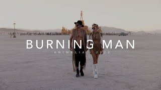 Burning Man 2023 | Cinematic Aftermovie & Highlights, incl. Man Burning (4k)