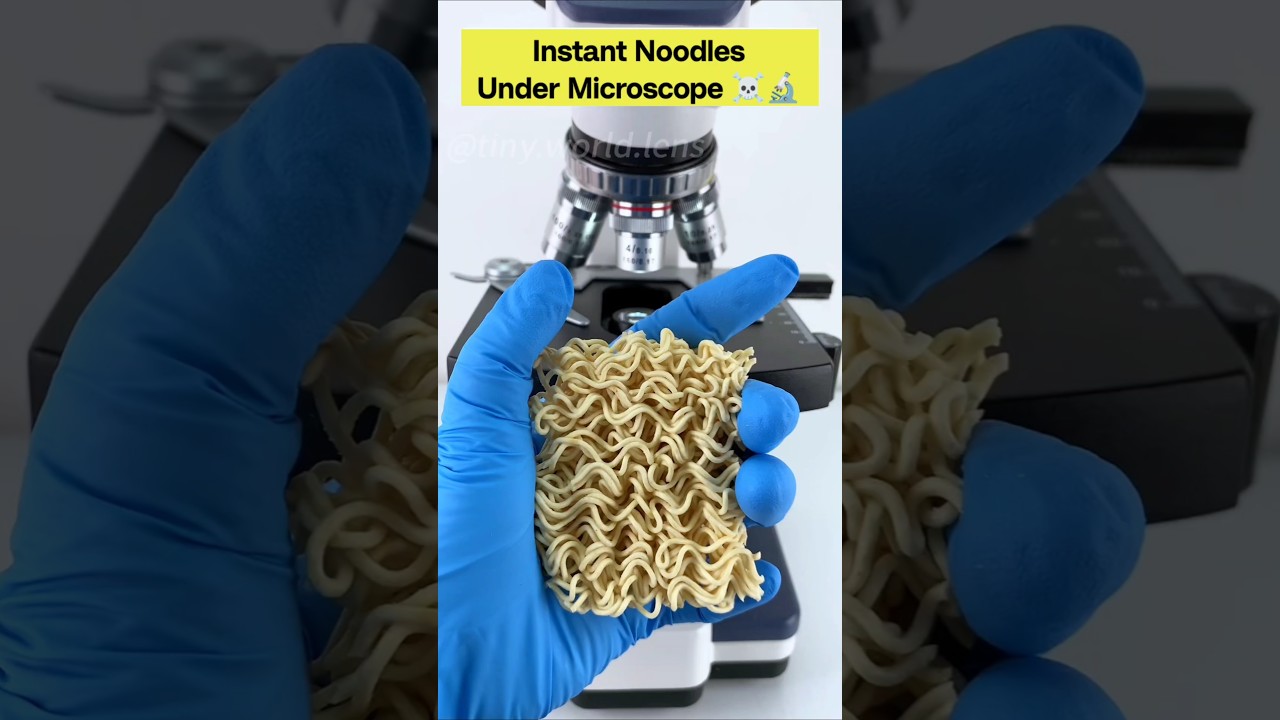 Surprisingly view noodles under microscope 🤯🔬 