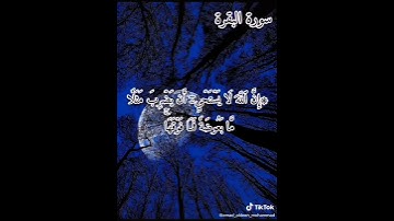 صباح الخير مع صوت قران كريم