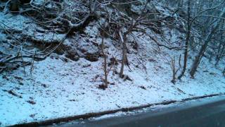 February 8, 2011 8:00 AM