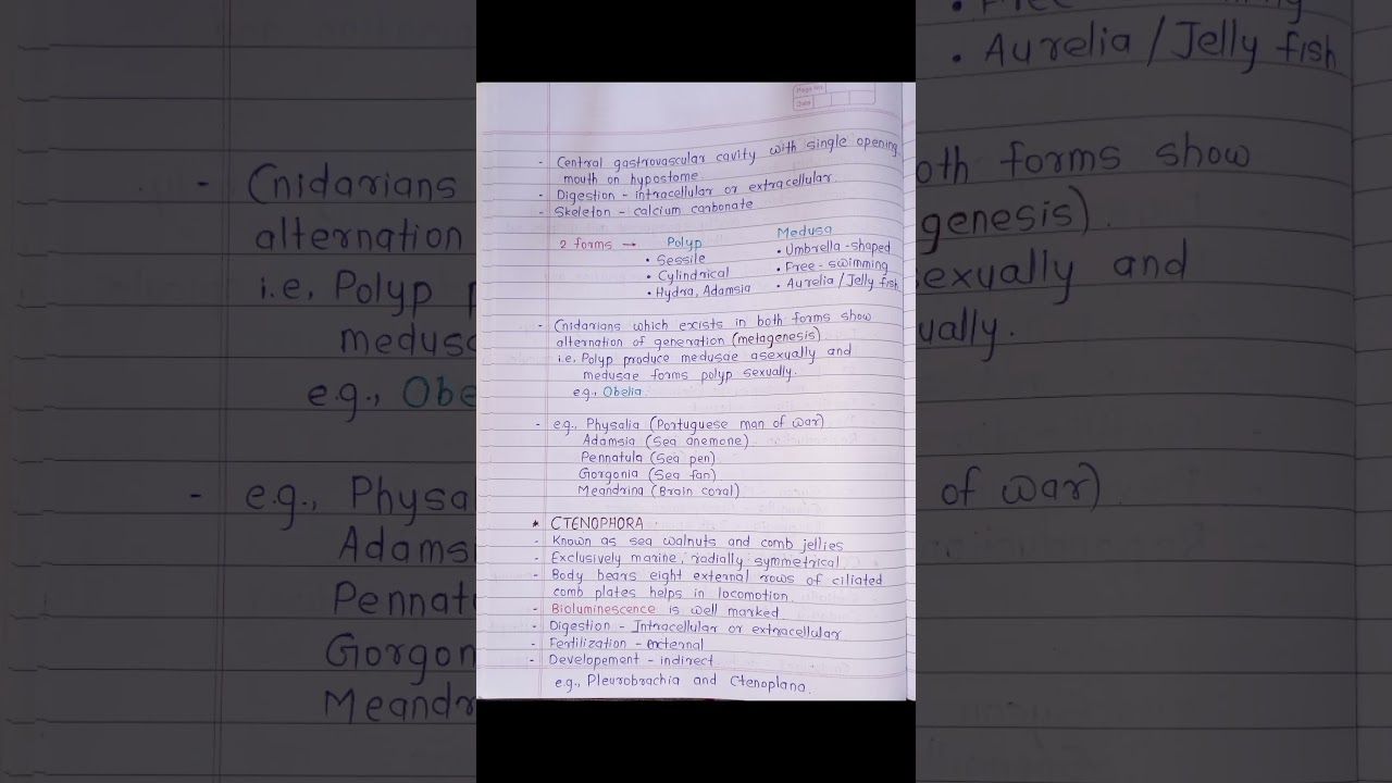 Animal kingdom notes| Part 1 | Biology 11th | ncert 