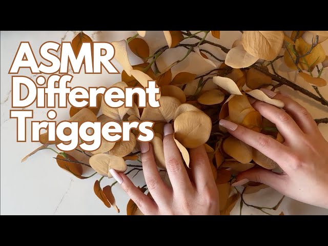 Diverse ASMR Triggers: Creating Relaxing Sounds with Various Objects