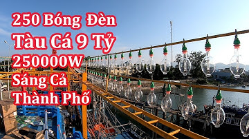 Tàu Cá 9 tỷ Với 250 Bóng Đèn Siêu Sáng Cảng Cá Đề Gi BĐ | Nhà Quê