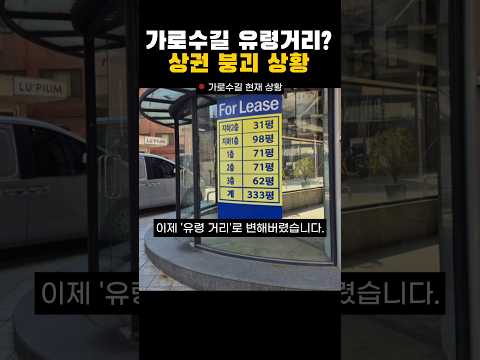 한때 힙지로, 지금은 유령거리 가로수길 공실률 40%의 넘는 상황 #가로수길 #부동산 #이슈 #뉴스 #shorts
