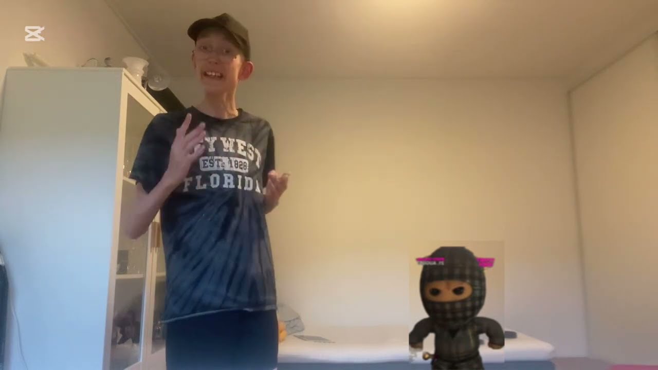 Ternet Ninja driller mig når jeg svarer på spørgsmål