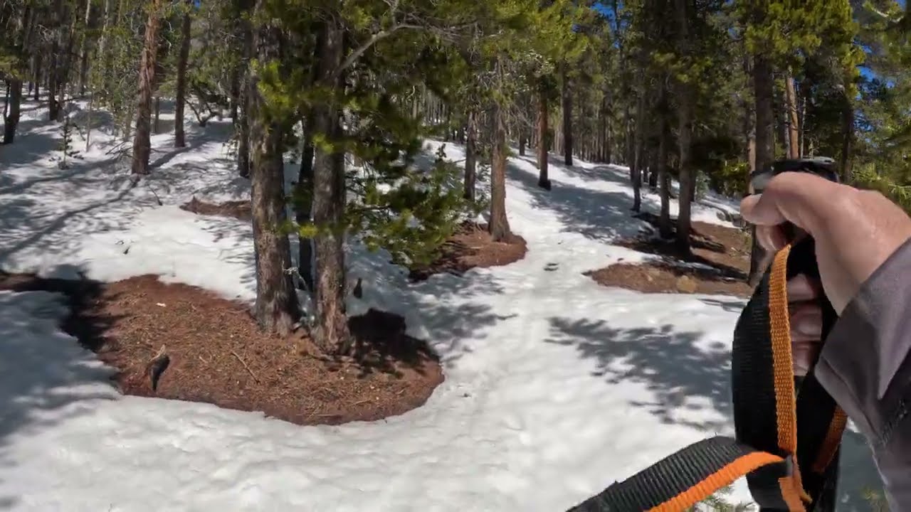 4K - Pt. 3 of 5 of Hiking in Arapaho National Forest's Cold Springs Campground.