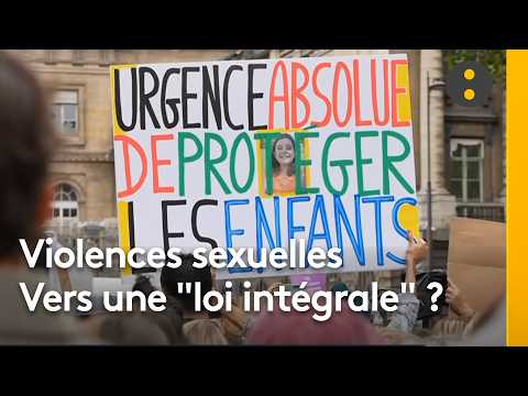 Miniature de la vidéo : Assemblée nationale : La "loi intégrale" contre les violences sexuelles discutée