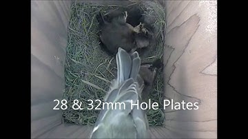 Gardenature camera bird boxes