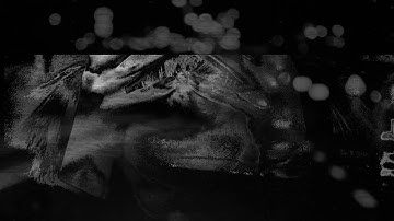 insidewarp | ārchillēct |